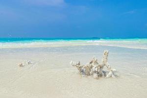 witte strandzandkoralen en schelpen op rasdhoo-atol Malediven. foto