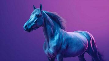 een blauw paard met een Purper achtergrond foto