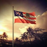 vlag van Hawaii hoog kwaliteit 4k ultra h foto