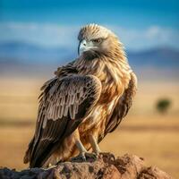 nationaal vogel van Kazachstan hoog kwaliteit 4k ultra foto