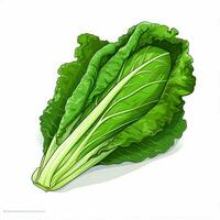 romaine 2d vector illustratie tekenfilm in wit achtergrond foto