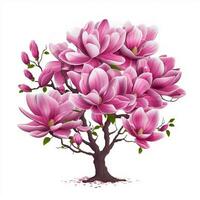 schotel magnolia 2d tekenfilm illustraton Aan wit achtergrond foto
