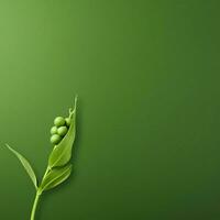 erwt groen minimalistische behang hoog kwaliteit 4k hdr foto