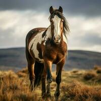 foto van paard vol schot hoog kwaliteit hdr 16k ultra hd