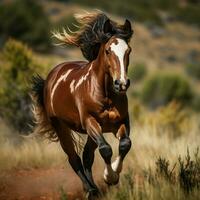 foto van paard vol schot hoog kwaliteit hdr 16k ultra hd