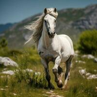 foto van paard vol schot hoog kwaliteit hdr 16k ultra hd