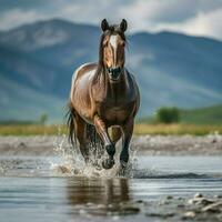 foto van paard vol schot hoog kwaliteit hdr 16k ultra hd