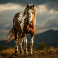 foto van paard vol schot hoog kwaliteit hdr 16k ultra hd