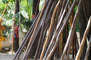 lap, bomen, takken en boeddhistisch overtuigingen in lampang, Thailand foto