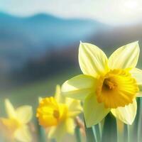 een jonquille bloem koestert zich in de warm stralen van de zon, uitstralend een stralend gloed ,ai gegenereerd foto