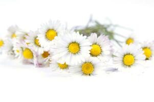 een bundel van wit bloemen Aan een geel achtergrond foto