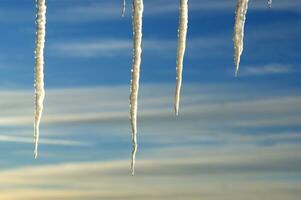 ijspegels hangende van een boom in de lucht foto