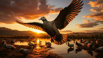 kudden van vogelstand majestueus migreren aan de overkant enorm verschillend continentaal landschappen foto