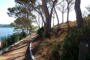 costa moedig en kust- pad langs de robuust kustlijn van noordelijk Catalonië, Spanje foto