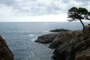 costa moedig en kust- pad langs de robuust kustlijn van noordelijk Catalonië, Spanje foto