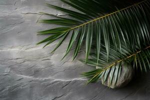 een palm blad Aan een grijs steen achtergrond ai gegenereerd foto