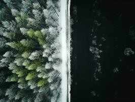 antenne visie van een snelweg kronkelend door een Woud in beide zomer en winter seizoenen. generatief ai foto