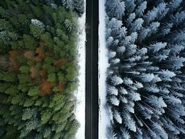 antenne visie van een snelweg kronkelend door een Woud in beide zomer en winter seizoenen. generatief ai foto