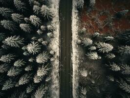 antenne visie van een snelweg kronkelend door een Woud in beide zomer en winter seizoenen. generatief ai foto