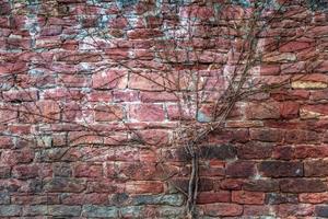 grunge steen bakstenen muur achtergrond textuur