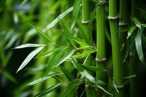 groen bamboe natuur achtergrond. ai gegenereerd foto