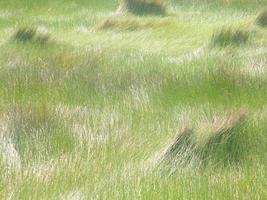 verbazingwekkende landschappen van India, uitzicht op India in foto