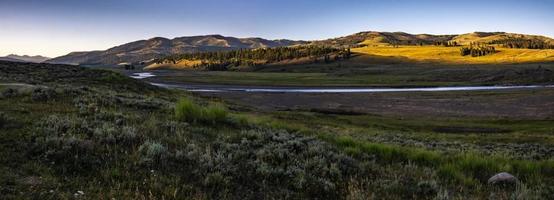 ochtend natuurtaferelen in Hayden Valley Yellostone Wyoming foto