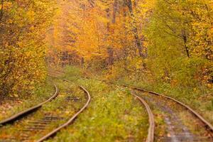 herfst Woud tussen welke gaat een vreemd tram foto