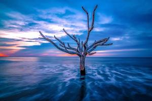 prachtige natuur op jachteiland South Carolina foto