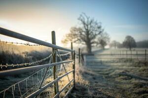 land weg einde met poort Aan een boerderij foto