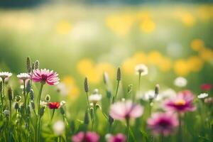 een veld- van bloemen met een helder zon. ai-gegenereerd foto