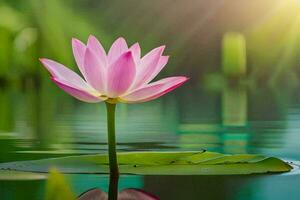 een roze lotus bloem is drijvend in de water. ai-gegenereerd foto