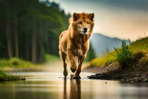 een leeuw wandelen aan de overkant een stroom in de Woud. ai-gegenereerd foto