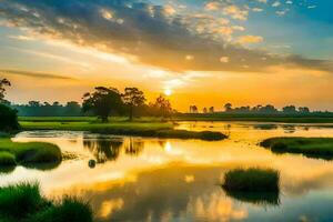 de zon sets over- een moeras en met gras begroeid veld. ai-gegenereerd foto