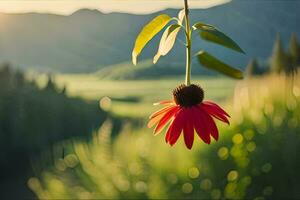 een rood bloem is hangende van een Liaan in de zon. ai-gegenereerd foto