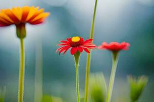 rood en geel bloemen in een veld. ai-gegenereerd foto