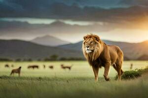 de leeuw is wandelen in de gras Bij zonsondergang. ai-gegenereerd foto