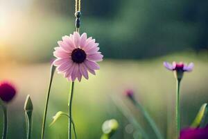 roze bloem in de veld. ai-gegenereerd foto