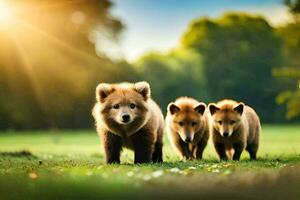 drie bruin bears wandelen in de gras. ai-gegenereerd foto