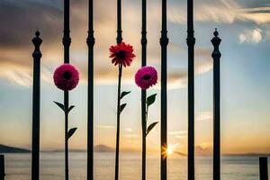 drie bloemen zijn Aan een hek met de zon instelling achter hen. ai-gegenereerd foto