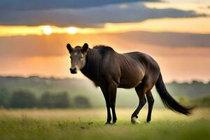 een paard is staand in de midden- van een veld. ai-gegenereerd foto