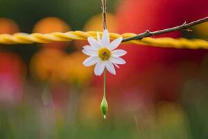 een single wit bloem is hangende van een draad. ai-gegenereerd foto