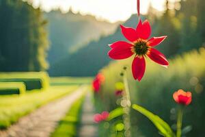 rood bloem in de veld. ai-gegenereerd foto