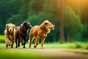 drie leeuwen rennen Aan een pad in de Woud. ai-gegenereerd foto