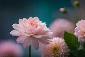 roze bloemen zijn in bloeien in voorkant van een blauw achtergrond. ai-gegenereerd foto