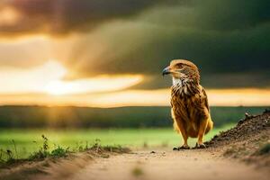 een vogel staat Aan een aarde weg Bij zonsondergang. ai-gegenereerd foto