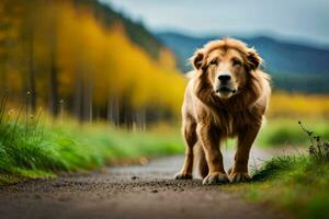 een leeuw wandelen naar beneden een weg in de midden- van een Woud. ai-gegenereerd foto