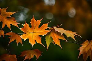 herfst bladeren, herfst, herfst bladeren, herfst bladeren, herfst bladeren, herfst bladeren, herfst. ai-gegenereerd foto