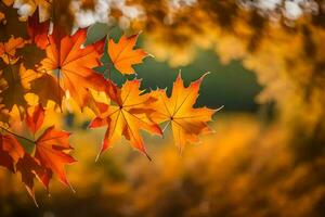 herfst bladeren zijn getoond in de achtergrond. ai-gegenereerd foto