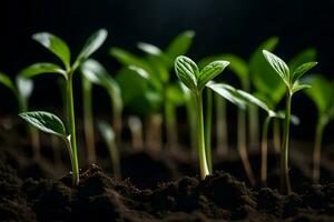 jong planten ontspruiten van de bodem. ai-gegenereerd foto